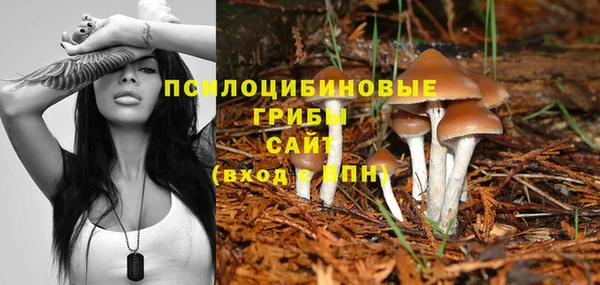 прущая мука Баксан